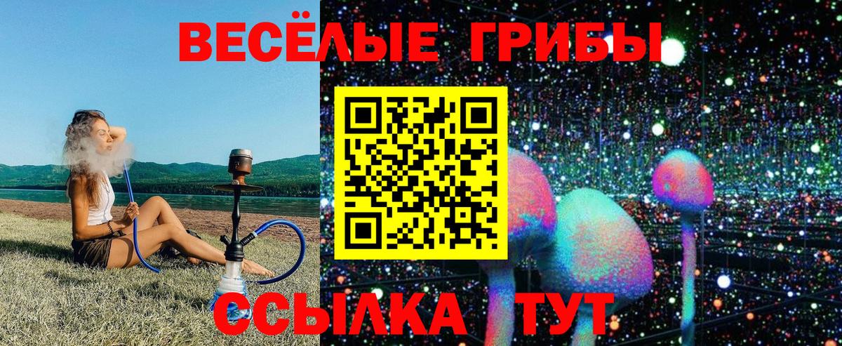 Галлюциногенные грибы GOLDEN TEACHER Лосино-Петровский